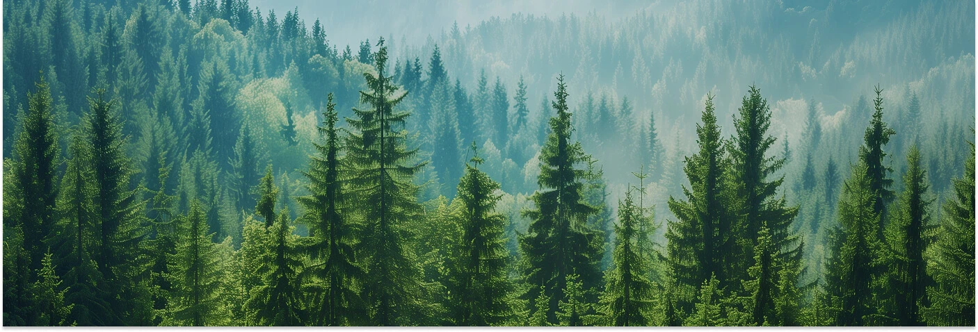 Gesti&oacute;n ambiental