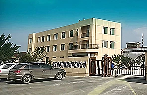 2006